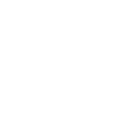 Alternate Text